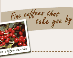 Fine coffees that take you by storm