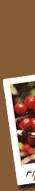 Storm Mountain Coffee Roasters