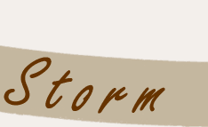 Fine coffees that take you by storm